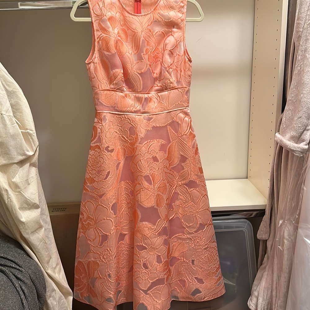 NWT Lela Rose blush dress size 2